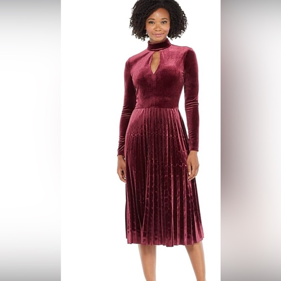 Maggie London Burgundy Pleated Velvet Dress - Picture 1 of 6